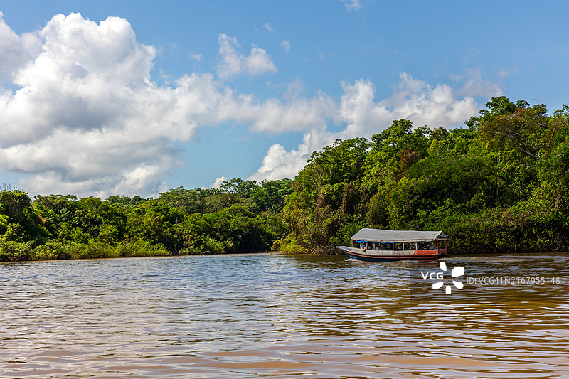 在秘鲁伊基托斯丛林中的亚马逊河上航行的帆船图片素材