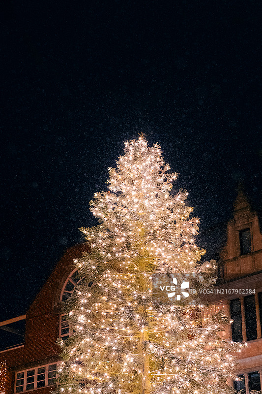 圣诞市场上用灯光装饰的节日圣诞冷杉树图片素材