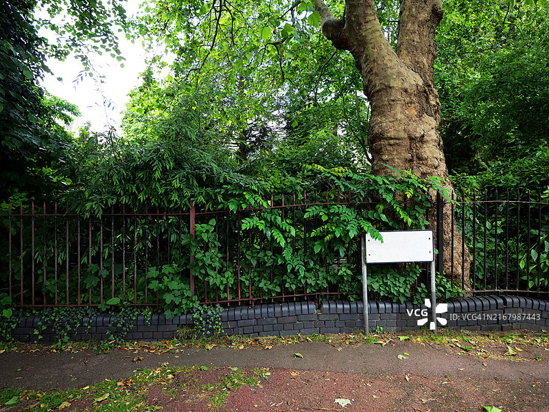 英国伦敦公园的道路标志图片素材