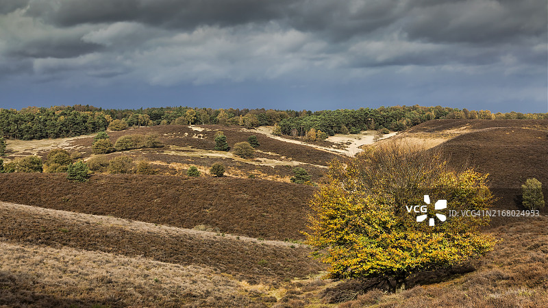 费吕沃国家公园的壮丽天空图片素材