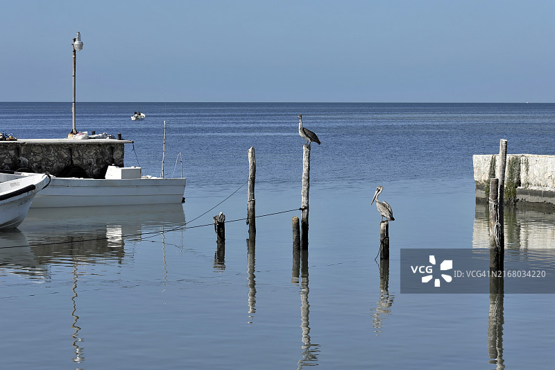 墨西哥帕伦克玛雅考古遗址图片素材