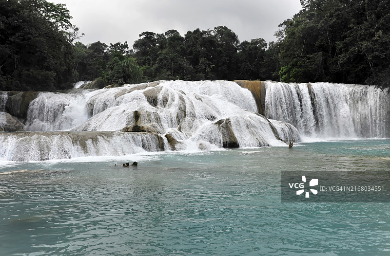 墨西哥恰帕斯州蓝色瀑布：碧绿的河水，岩石和茂密的森林图片素材