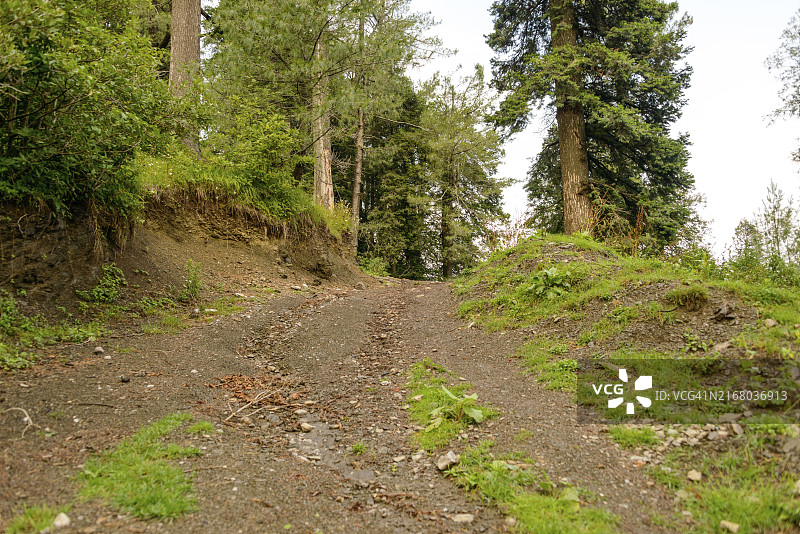 位于巴基斯坦阿伯塔巴德纳蒂亚加利山区通往山脉的道路图片素材