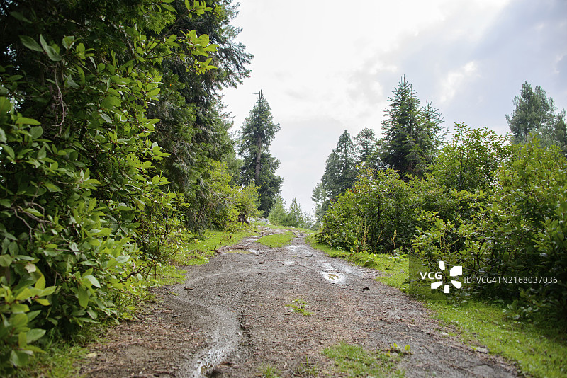 位于巴基斯坦阿伯塔巴德纳蒂亚加利山区通往山脉的道路图片素材