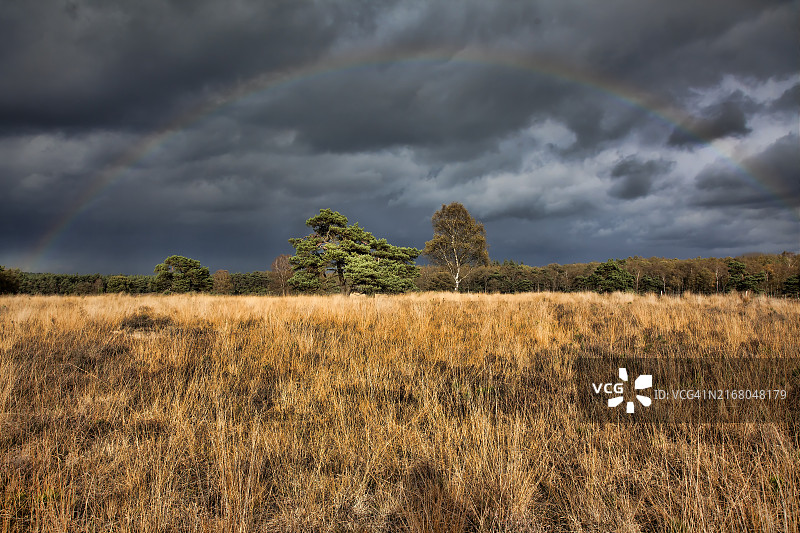 Loenermark荒原上的完整彩虹图片素材