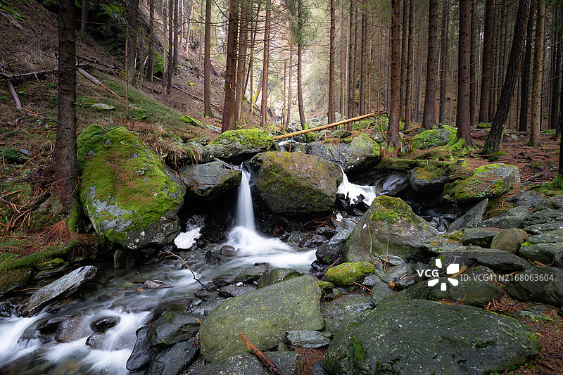 森林中瀑布的景色图片素材