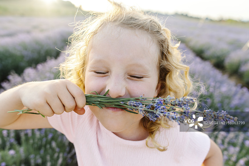 在田野里手持薰衣草并嗅其香味的金发女孩图片素材