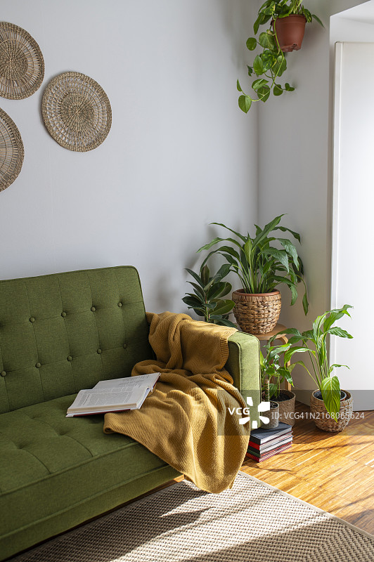 客厅里靠近室内植物的沙发图片素材