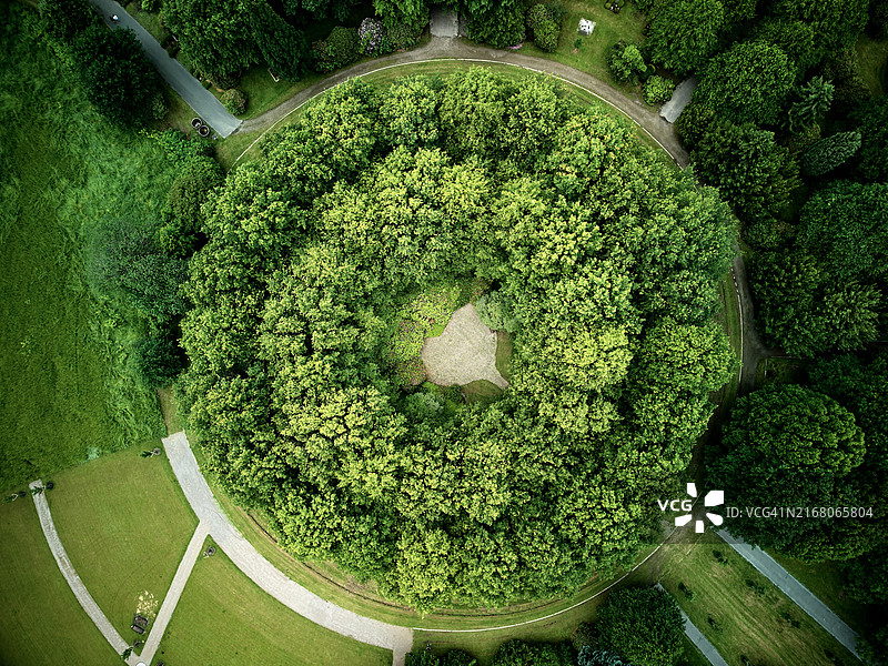 德国索林根田野上生长的树木航拍图片素材