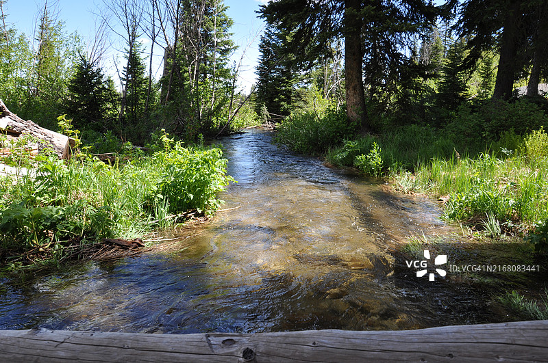 美国怀俄明州杰克逊森林中的河流美景图片素材