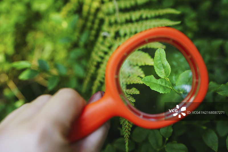 男人手持放大镜观察植物图片素材