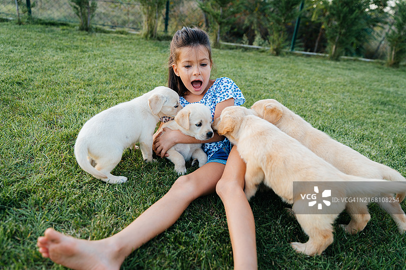 和小狗们玩耍的可爱小女孩图片素材