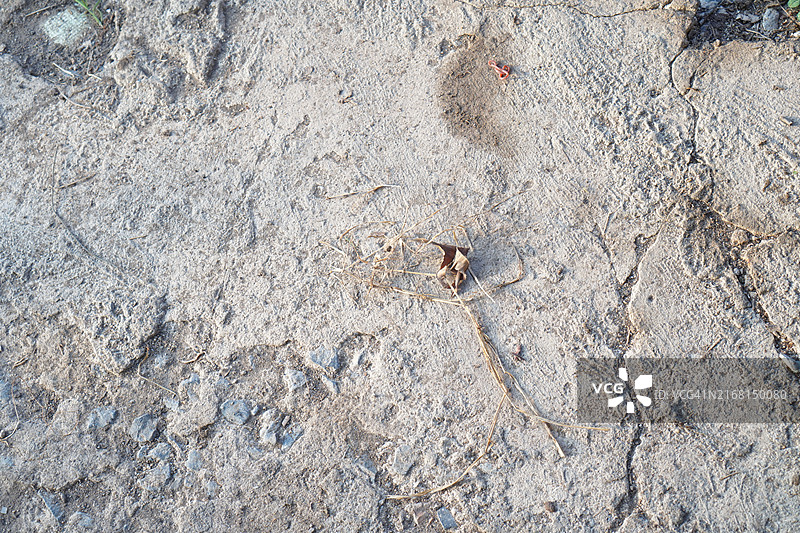 石膏，涂抹在混凝土抛光纹理背景上，抽象的彩色材料粗糙表面，阁楼风格复古背景，建筑施工，装饰地板室内，建筑师，室内，室外，硬质地板图片素材