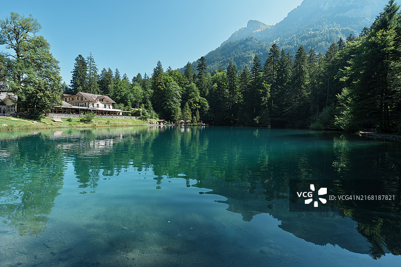 瑞士森林环绕的蓝湖美景图片素材