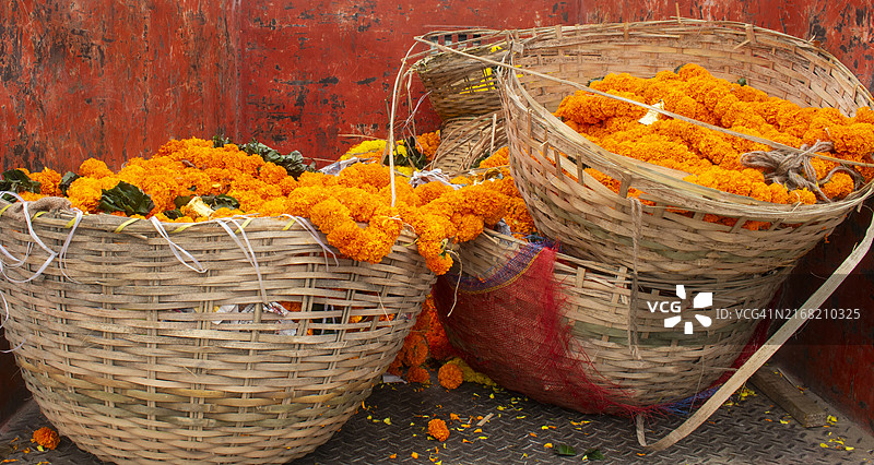 篮子里的万寿菊花珠图片素材