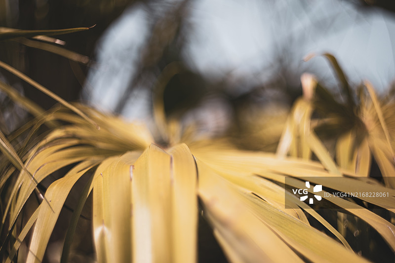 威尔士自然风光图片素材