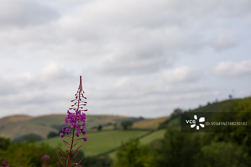 威尔士的壮丽户外风光图片素材
