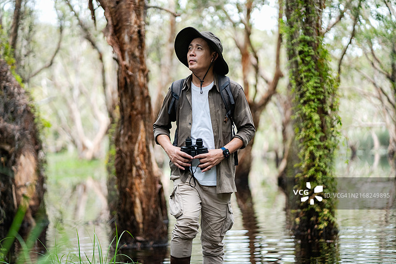 生物学家正在湿地中跋涉，调查动植物群，收集数据进行研究图片素材