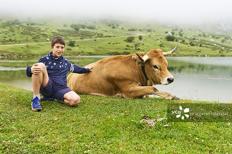 毛衣男孩坐在草地上，一侧的奶牛看着镜头图片素材