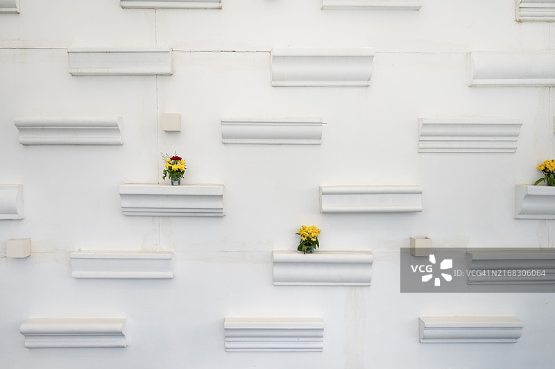 带有装饰线条和花朵的白色墙面图片素材