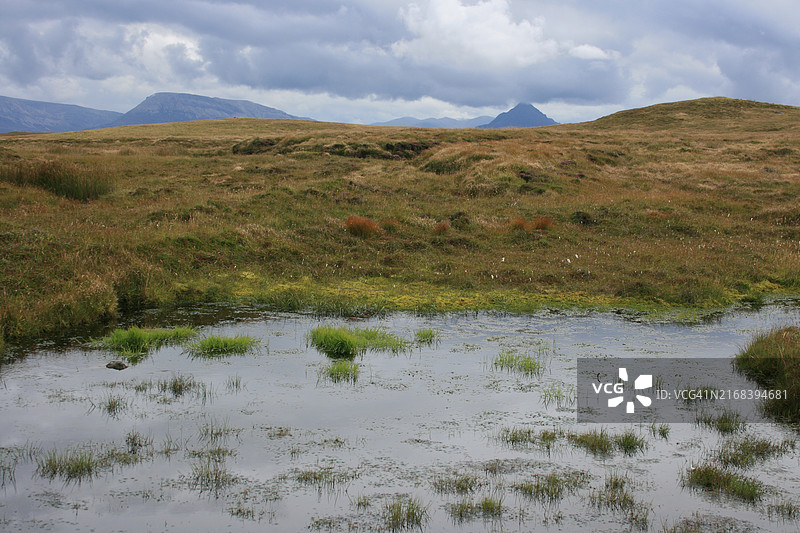 汉达岛野生动物保护区图片素材