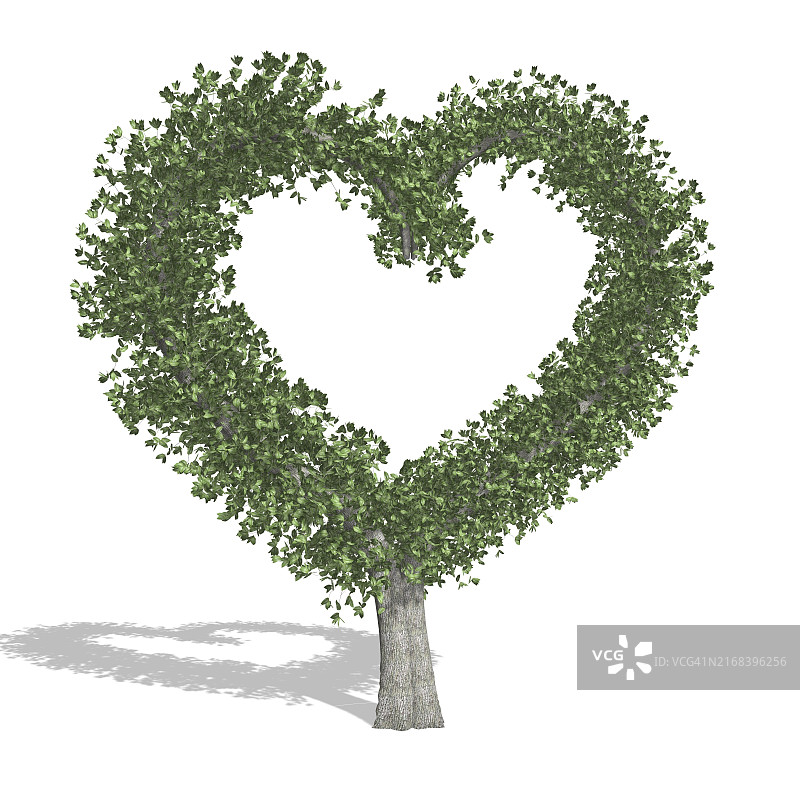 心形树白色背景图片素材