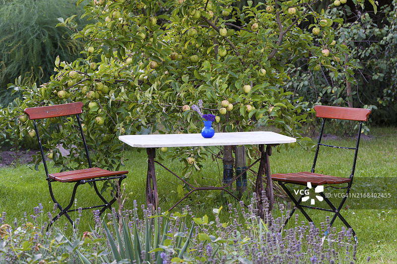 苹果树下的经典花园桌椅图片素材