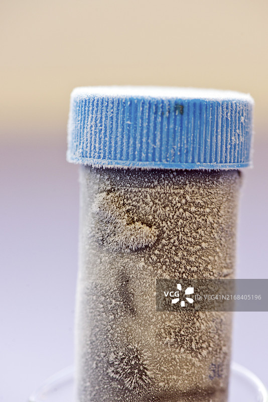 生化实验室中使用的冷冻样品瓶图片素材