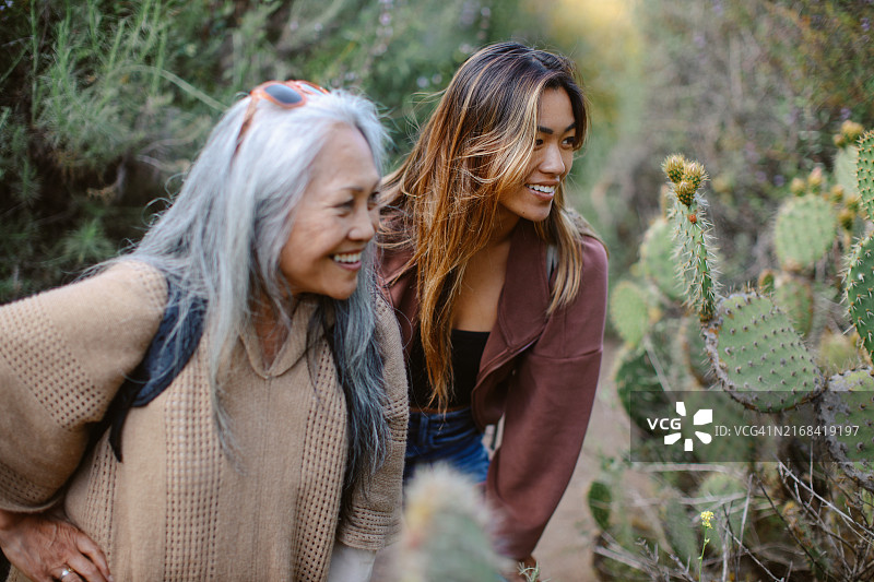 在加利福尼亚州大自然中徒步的家庭图片素材