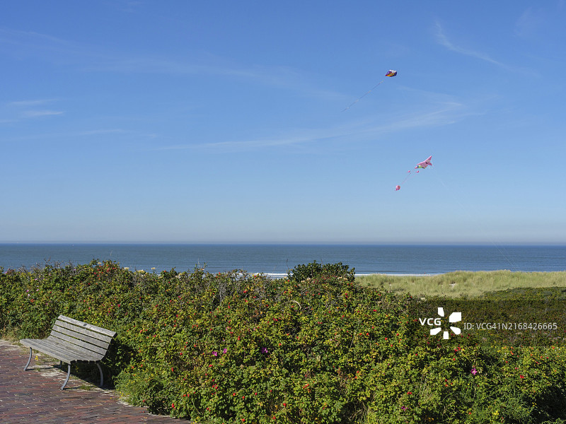 晴空下可观海的孤单长椅图片素材