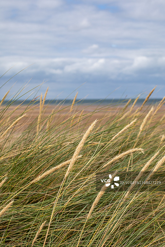 北诺福克沙丘图片素材