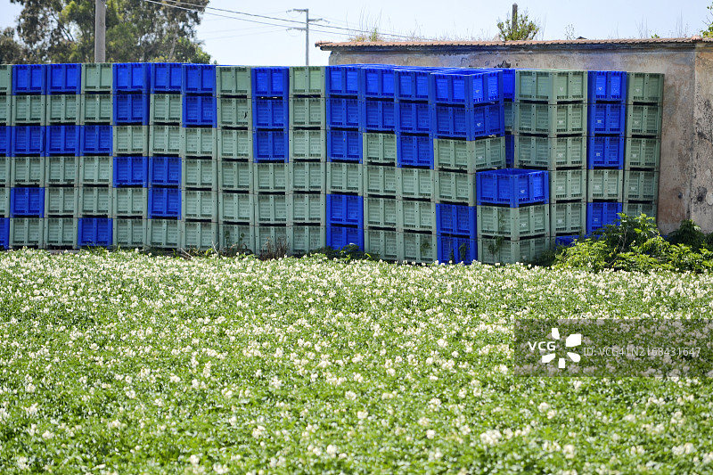 园艺产品采摘筐图片素材