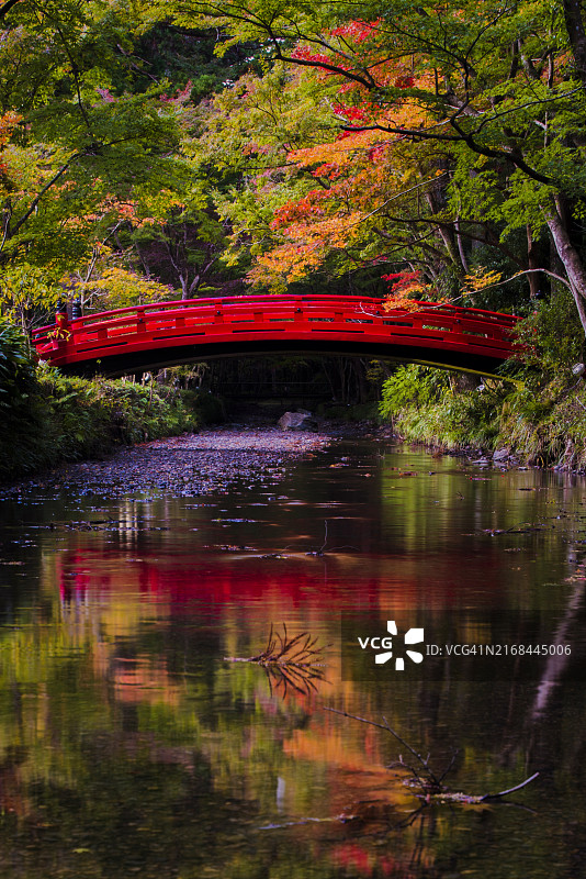 秋日公园静冈县湖上的红桥图片素材