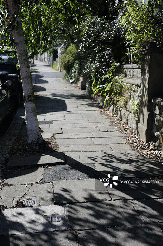 午后路面图片素材