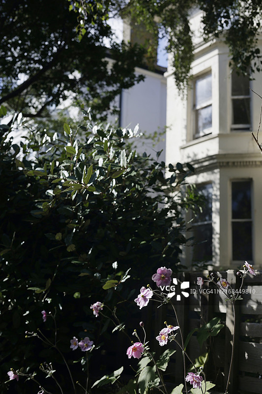 鲜花与房屋图片素材