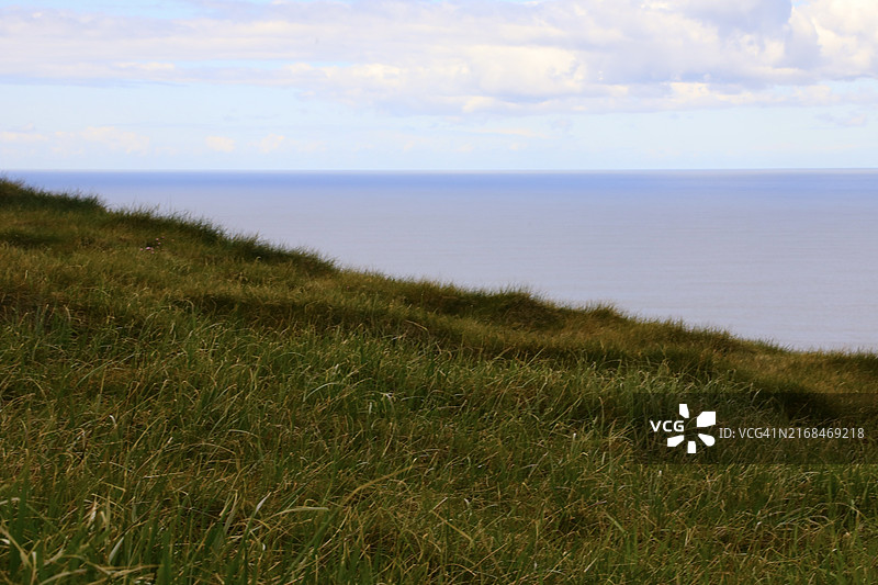 岸边覆盖草地的草甸图片素材