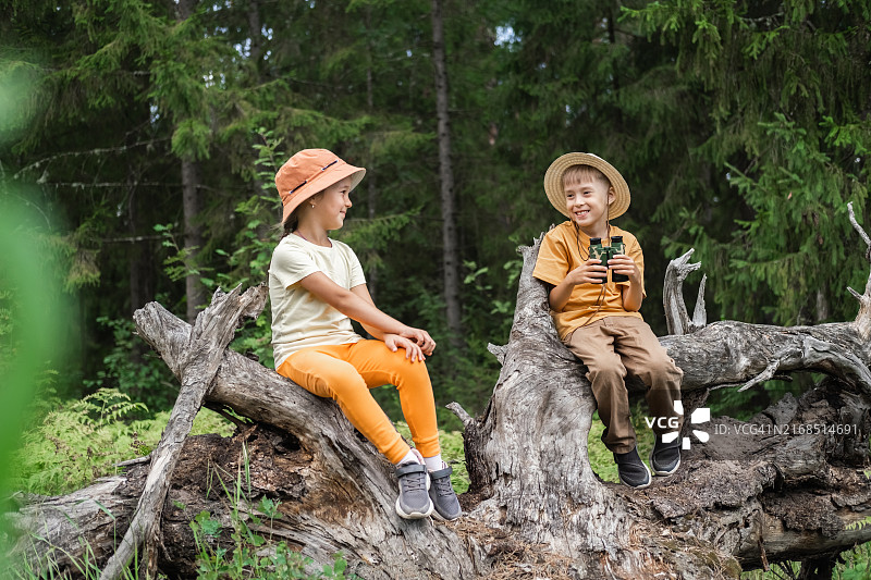 孩子们正在探索森林图片素材