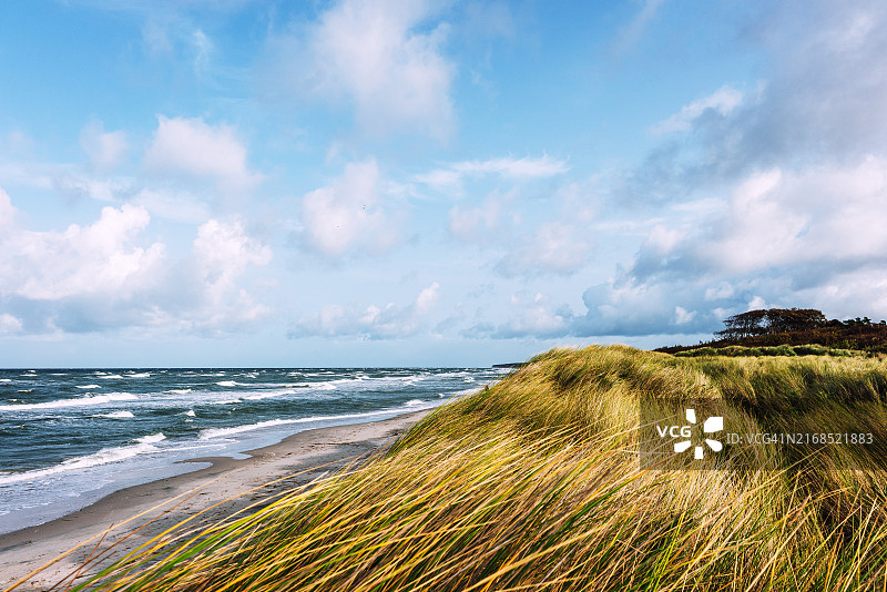 波罗的海沙丘海滩与森林海岸线风光图片素材