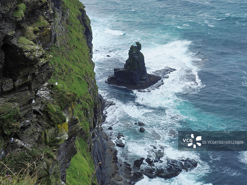 莫赫悬崖的顶峰岩层和陡峭悬崖上的鸟巢图片素材