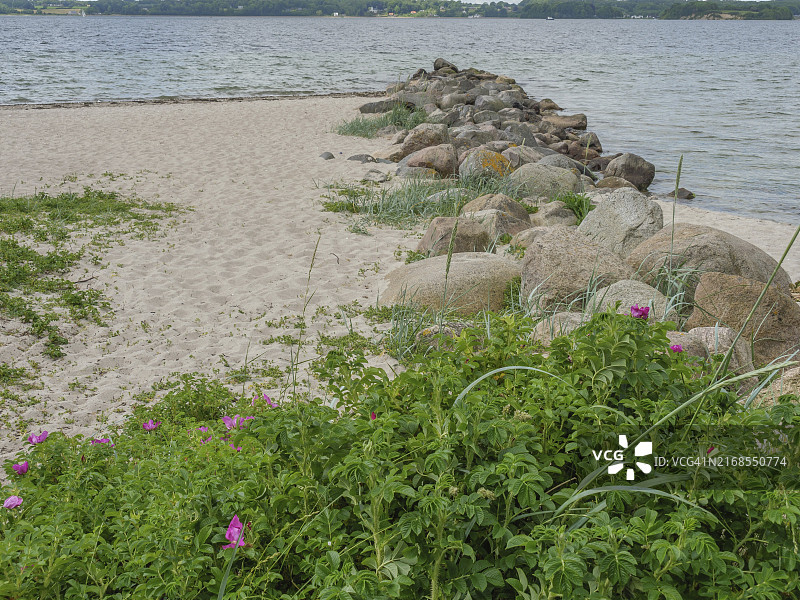 德国石勒苏益格-荷尔斯泰因州格吕克斯堡沙质海岸线风光图片素材