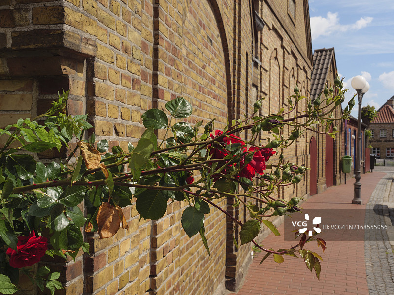 阳光明媚的日子里，德国卡佩尔恩的红玫瑰砖房和路灯图片素材