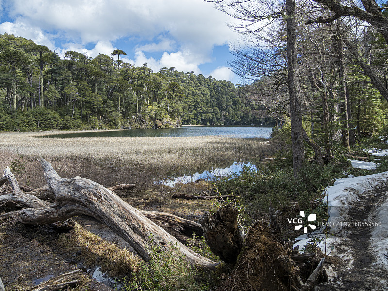智利韦尔克韦公园洛斯拉戈斯徒步道奇科湖图片素材
