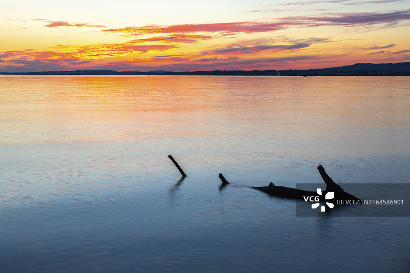 康斯坦茨湖日落前水中的树干，枯木，德国巴登-符腾堡州图片素材