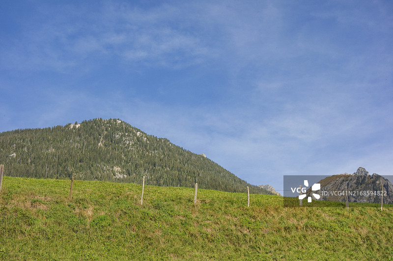 瑞士格劳宾登州萨斯费的绿色草地山景图片素材
