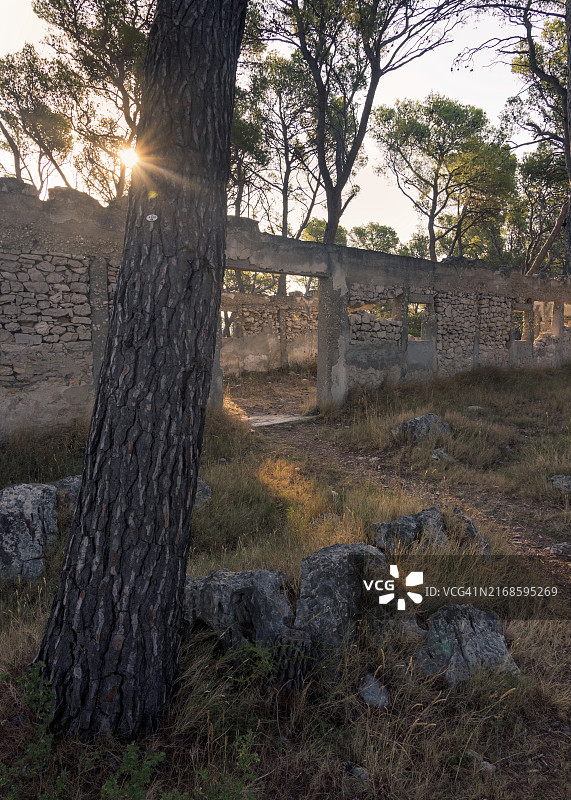 废弃的军事碉堡、战壕和沟渠：二战时期克罗地亚希贝尼克附近的旧混凝土碉堡图片素材