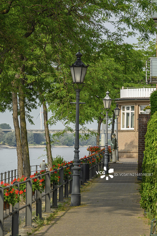 德国里斯河畔的林荫步道图片素材