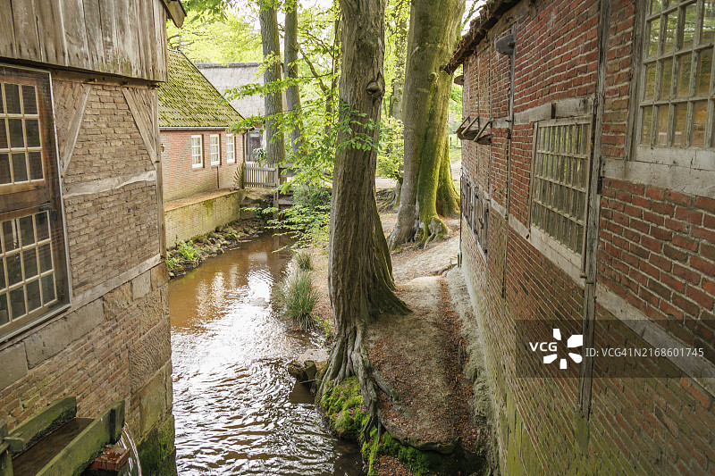 荷兰奥特马瑟姆，两栋老房子和一棵大树之间的小溪图片素材