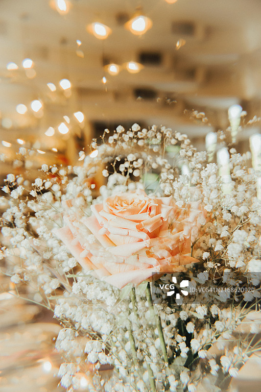 葡萄牙波尔图白色花朵特写图片素材