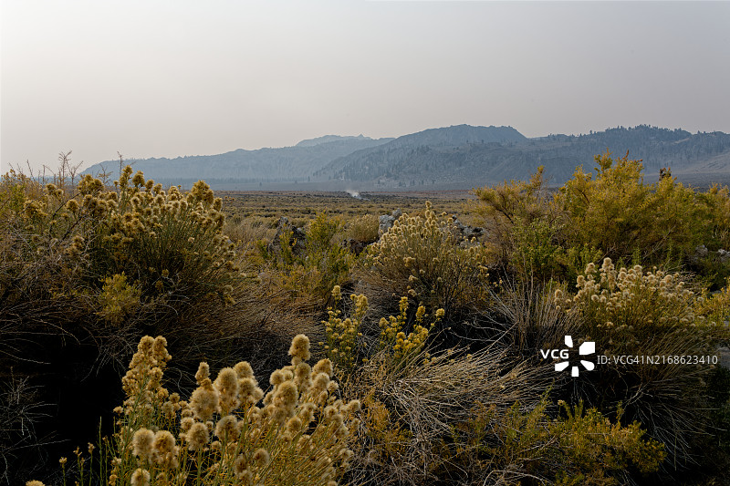 美国莫诺湖周围的山坡和山脉图片素材