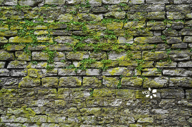 长满绿色苔藓的灰色石砖图片素材